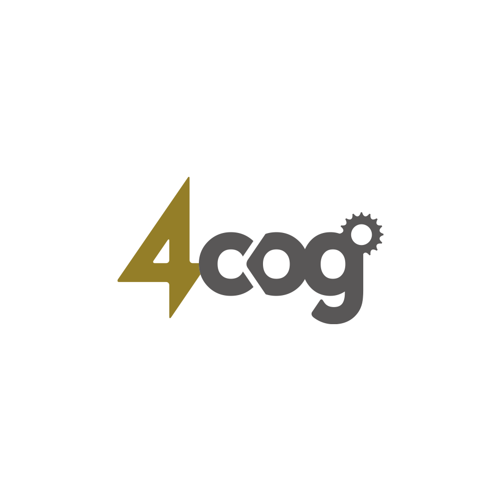 4cog_02